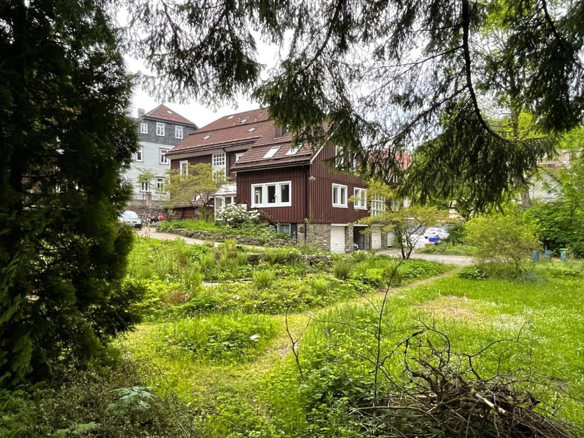 Liebevoll Eingerichtetes Ferienhaus Mit Grossem Garten Clausthal-Zellerfeld Kültér fotó