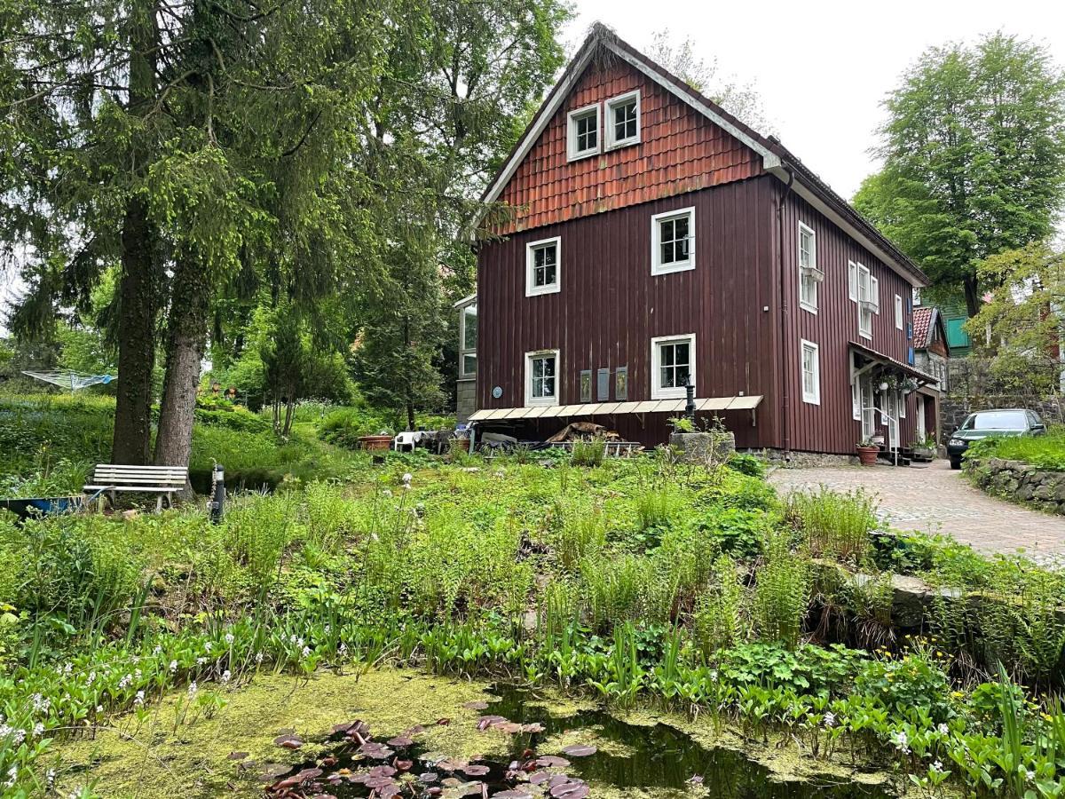 Liebevoll Eingerichtetes Ferienhaus Mit Grossem Garten Clausthal-Zellerfeld Kültér fotó