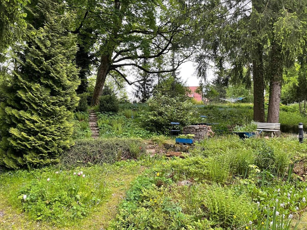 Liebevoll Eingerichtetes Ferienhaus Mit Grossem Garten Clausthal-Zellerfeld Kültér fotó