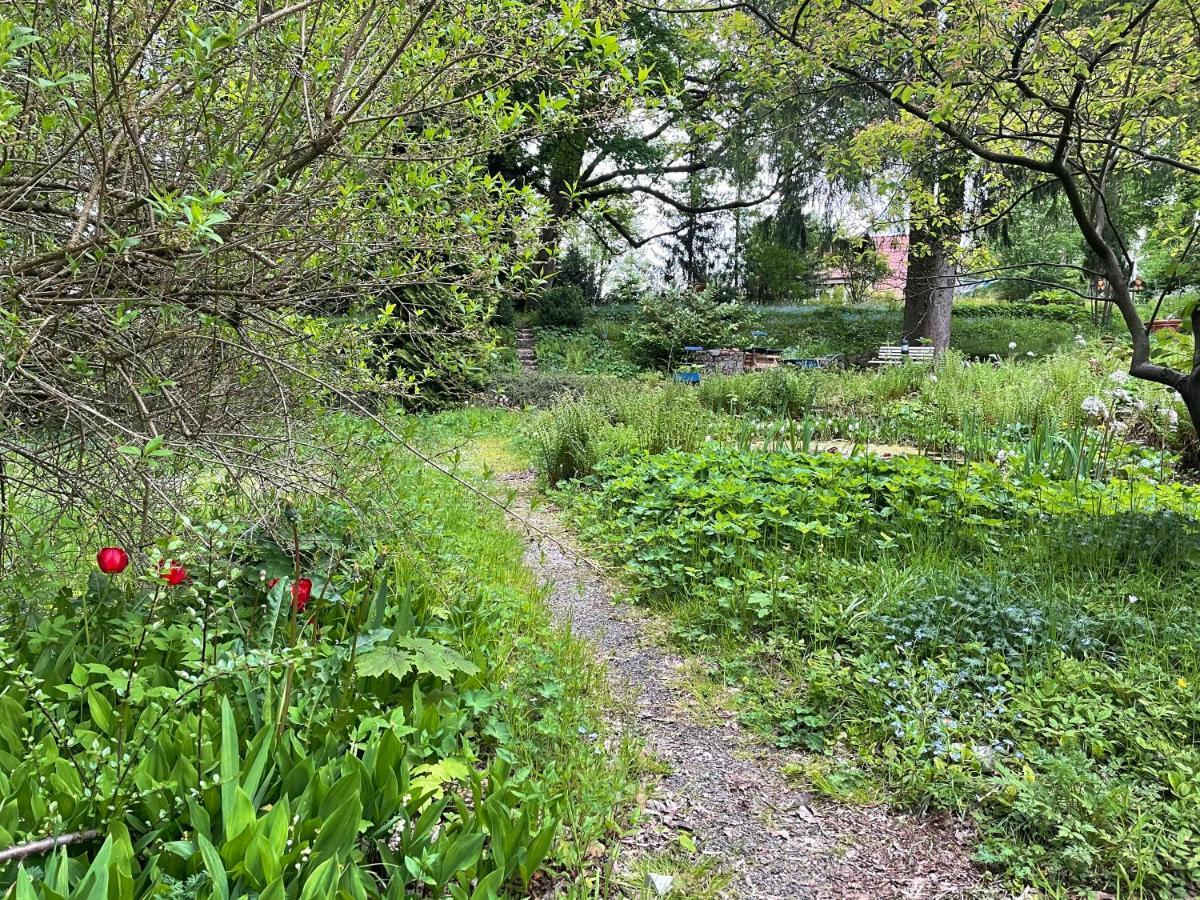 Liebevoll Eingerichtetes Ferienhaus Mit Grossem Garten Clausthal-Zellerfeld Kültér fotó